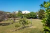 8 Carnalea Road, Moresby, WA 6530-Image