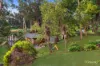8 Carrington Court, Tecoma, Vic 3160-Image