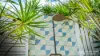 8 Casons Road, New Brighton, NSW 2483-Image