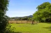 8 Cassia Court, Mullumbimby, NSW 2482-Image