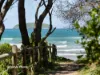 8 Casuarina Court, Sandy Beach, NSW 2456-Image