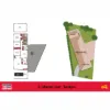 8 Catherine Court, Traralgon, Vic 3844-Floorplan
