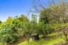 8 Cavendish Road, Goonellabah, NSW 2480-Image