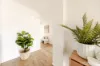 8 Centurian Street, Ocean Grove, Vic 3226-Image