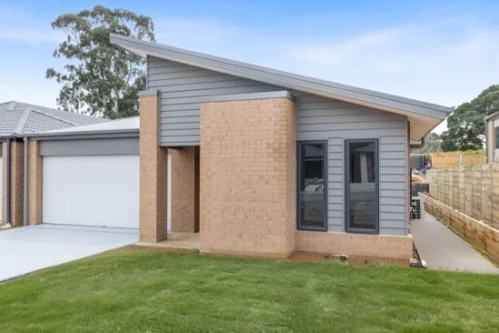 8 Clarice Road, Mount Pleasant VIC 3350-Image