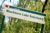 8 Clifton Street, Blackburn, Vic 3130-Image
