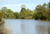 8 Clifton Street, Blackburn, Vic 3130-Image