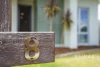 8 Conondale Place, Capalaba, Qld 4157-Image