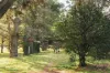 8 Cooper Place, Watson, ACT 2602-Image