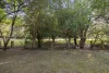 8 Coorilla Avenue, Croydon Park, NSW 2133-Image