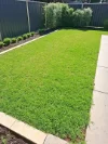 8 Coral Street, Loxton SA 5333-Image
