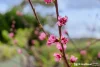 8 Cottage Road, Kingston, Tas 7050-Image