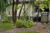8 Cudgee Street, Redbank Plains, Qld 4301-Image
