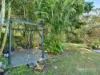 8 Dalewood Place, Fernvale, Qld 4306-Image