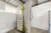 8 Desmond Drive, Toogoom, Qld 4655-Image