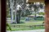 8 Ditmann Place, Lavington, NSW 2641-Image