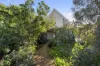 8 Dorothy Street, Rye, Vic 3941-Image
