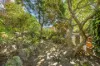 8 Dudley Street, Randwick, NSW 2031-Image