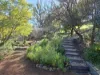 8 Dunnet Road, Nannup, WA 6275-Image