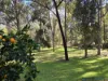 8 Dunnet Road, Nannup, WA 6275-Image