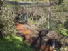 8 Dunnet Road, Nannup, WA 6275-Image