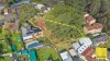 8 Dwyer Crescent, Seven Hills, NSW 2147-Image