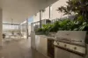 8 Effie Street, Bardon QLD 4065-Image