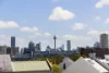 8 Elfred Street, Paddington, NSW 2021-Image