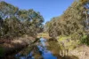 8 Fairmont Avenue, Kidman Park, SA 5025-Image