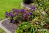 8 Fairmont Avenue, Kidman Park, SA 5025-Image