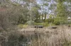 8 Fisken Road, Mount Helen, Vic 3350-Image