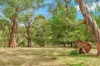8 Forbes Road, Aldgate, SA 5154-Image