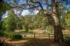 8 Forbes Road, Aldgate, SA 5154-Image