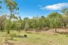 8 Forbes Road, Aldgate, SA 5154-Image
