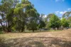 8 Forbes Road, Aldgate, SA 5154-Image