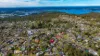 8 Foster Close, Kariong, NSW 2250-Image