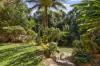 8 Funda Close, Bellingen, NSW 2454-Image
