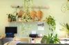 8 Gecko Court, Bli Bli QLD 4560-Image