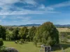 8 Georgia Lane, Candelo, NSW 2550-Image