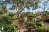 8 Giltinan Place, Holt, ACT 2615-Image