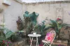 8 Gipps Street, Paddington, NSW 2021-Image