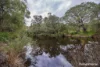 8 Glendale Close, Denmark, WA 6333-Image