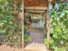 8 Gower Street, Chinchilla, Qld 4413-Image