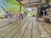 8 Gower Street, Chinchilla, Qld 4413-Image