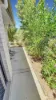8 Gower Street, Chinchilla, Qld 4413-Image