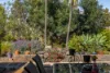 8 Grant Close, Middle Ridge, Qld 4350-Image