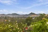 8 Graystone Court, Gympie, Qld 4570-Image