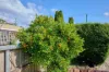 8 Groom Street, St Helens, Tas 7216-Image