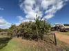 8 Grosvenor Close, Woorree, WA 6530-Image