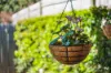 8 Haines Street, Pallara, Qld 4110-Image